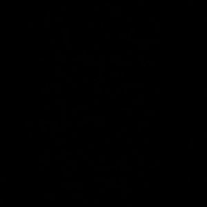 Meet your Posher, Shay